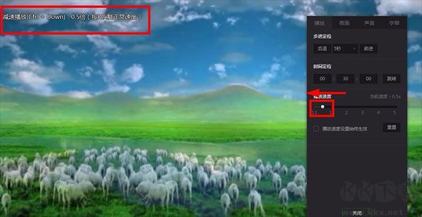 爱奇艺万能联播