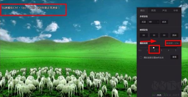 爱奇艺万能联播