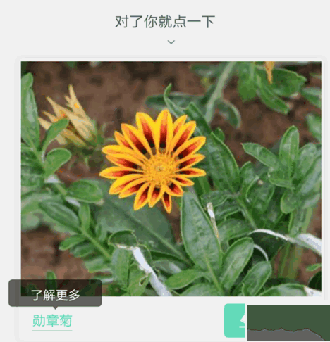 形色