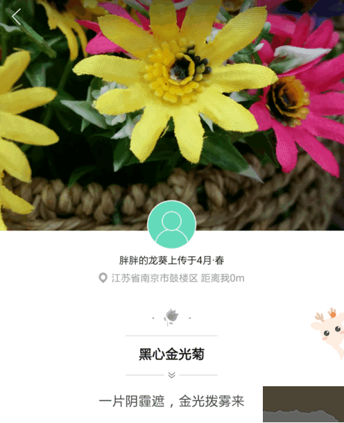形色
