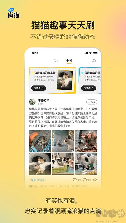 哈啰街猫
