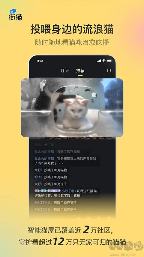 哈啰街猫