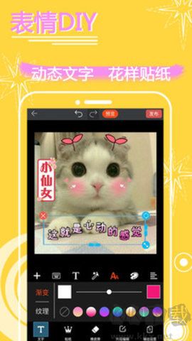 表情in
