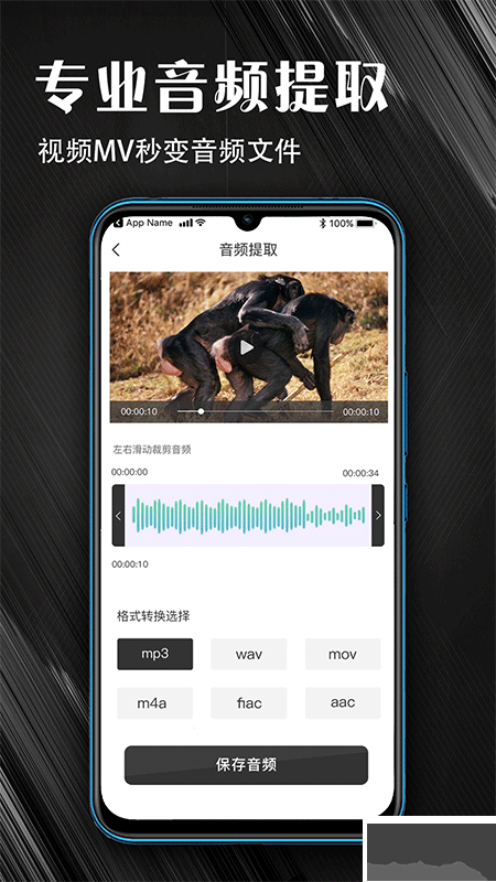MP3音频提取器
