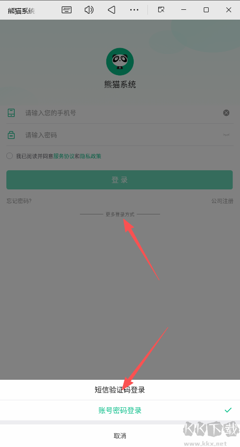 熊猫系统