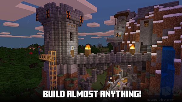 我的世界(Minecraft)