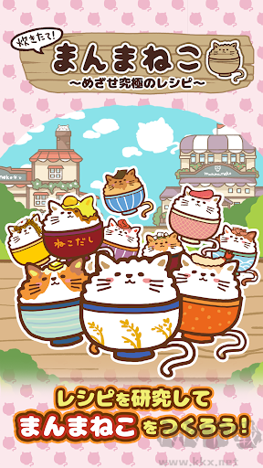 猫咪盖饭
