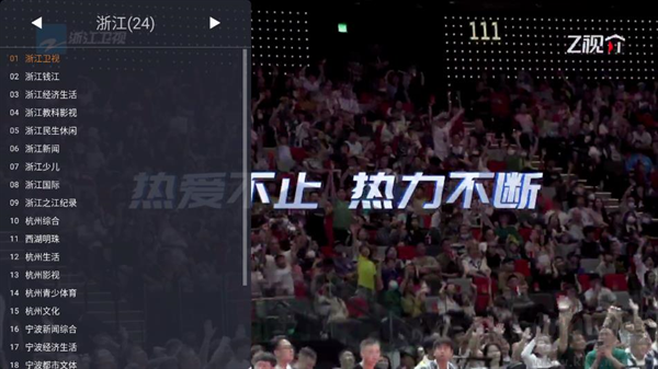 WebView电视app纯净版