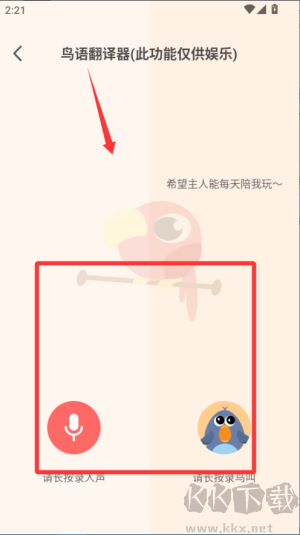 鹦鹉翻译器
