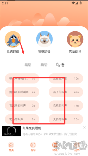 鹦鹉翻译器