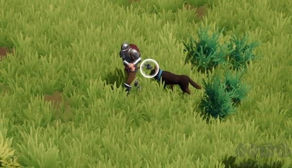 莱恩岛生存指南