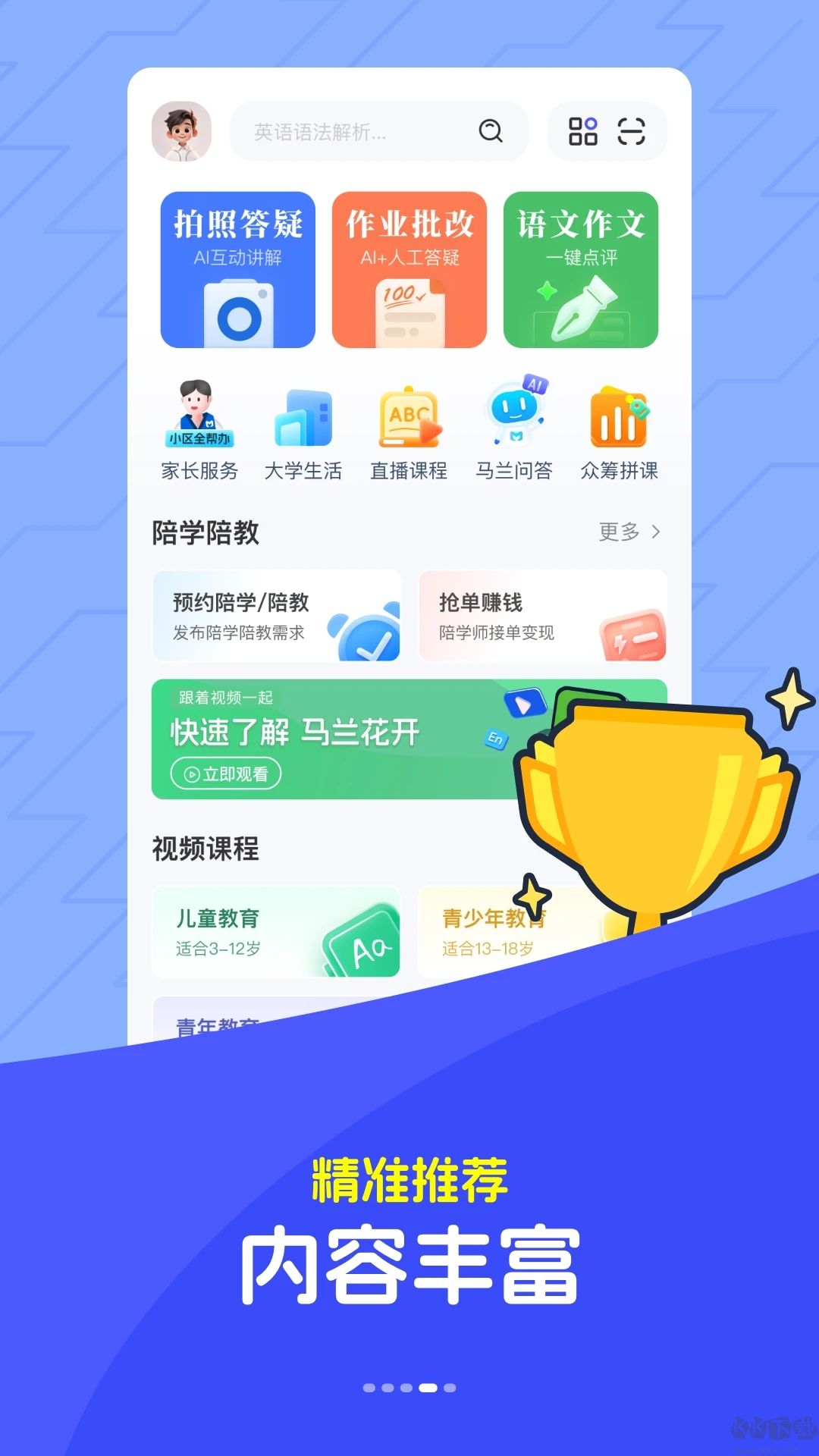 马兰花开