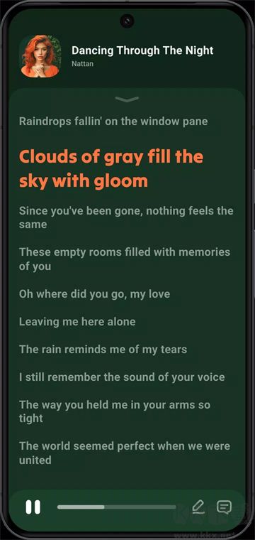 Lark Player中文版