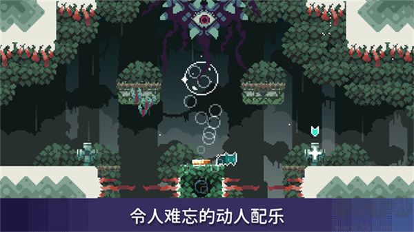 无名的猫(Nameless Cat)