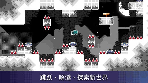 无名的猫(Nameless Cat)