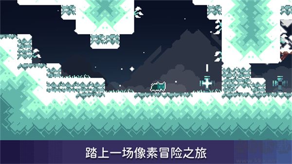 无名的猫(Nameless Cat)