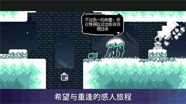 无名的猫(Nameless Cat)