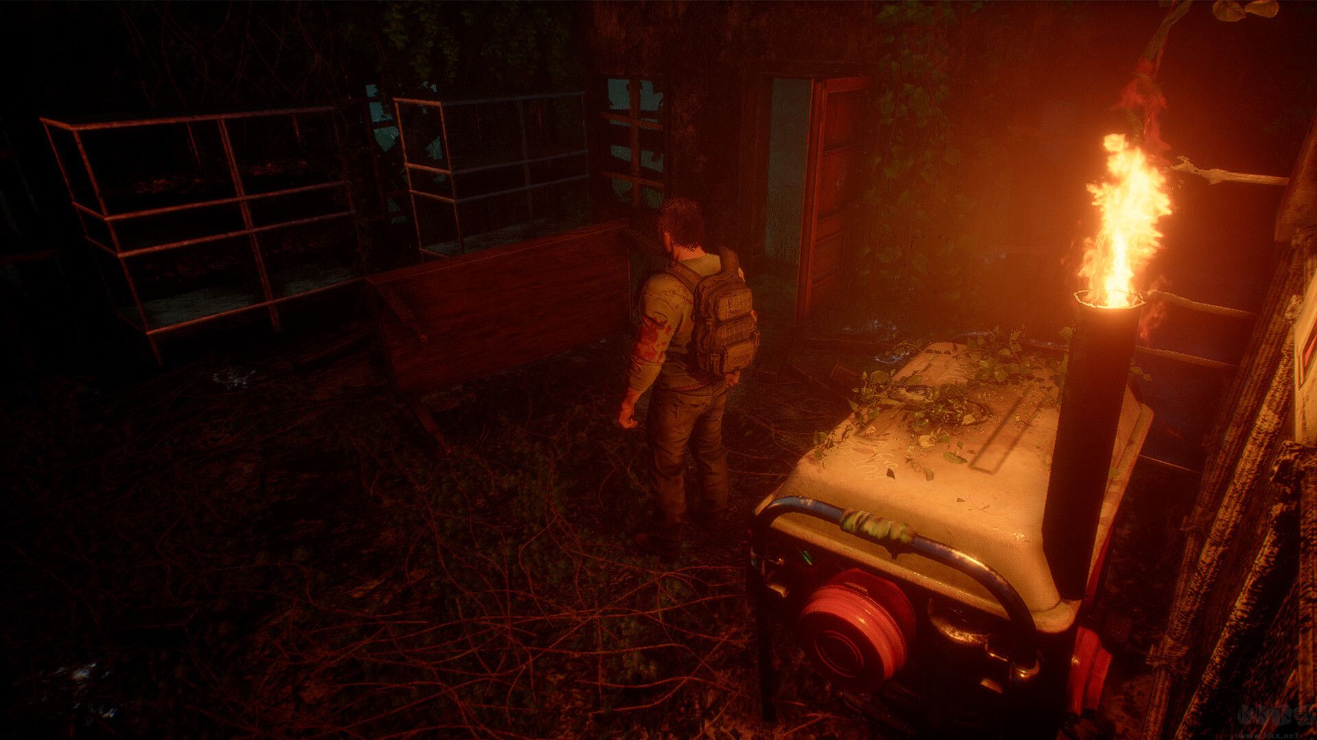 波维利亚不归之岛