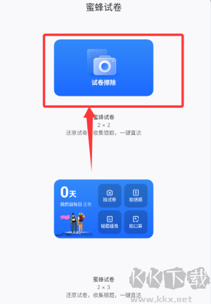 蜜蜂试卷