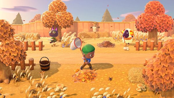 集合啦动物森友会