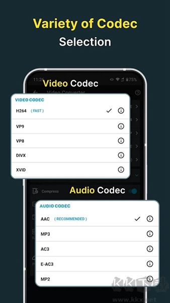 video convertervip高级版