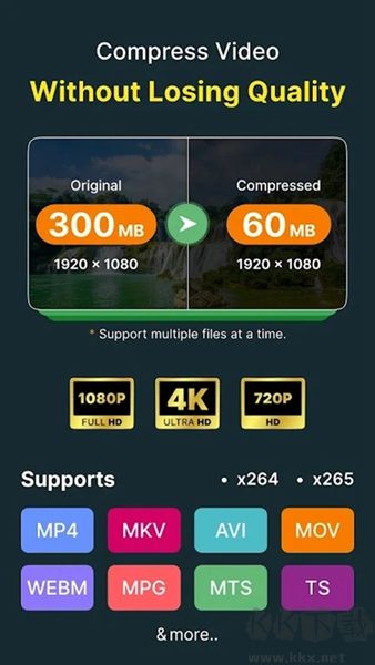 video convertervip高级版