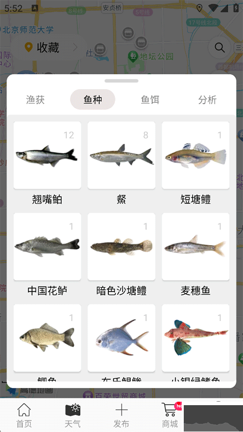 渔获