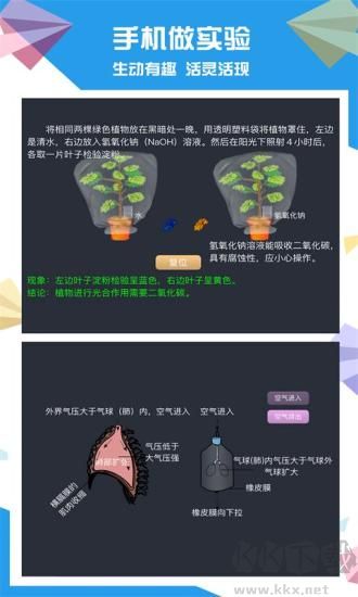 土豆生物