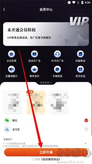 坚果免费小说