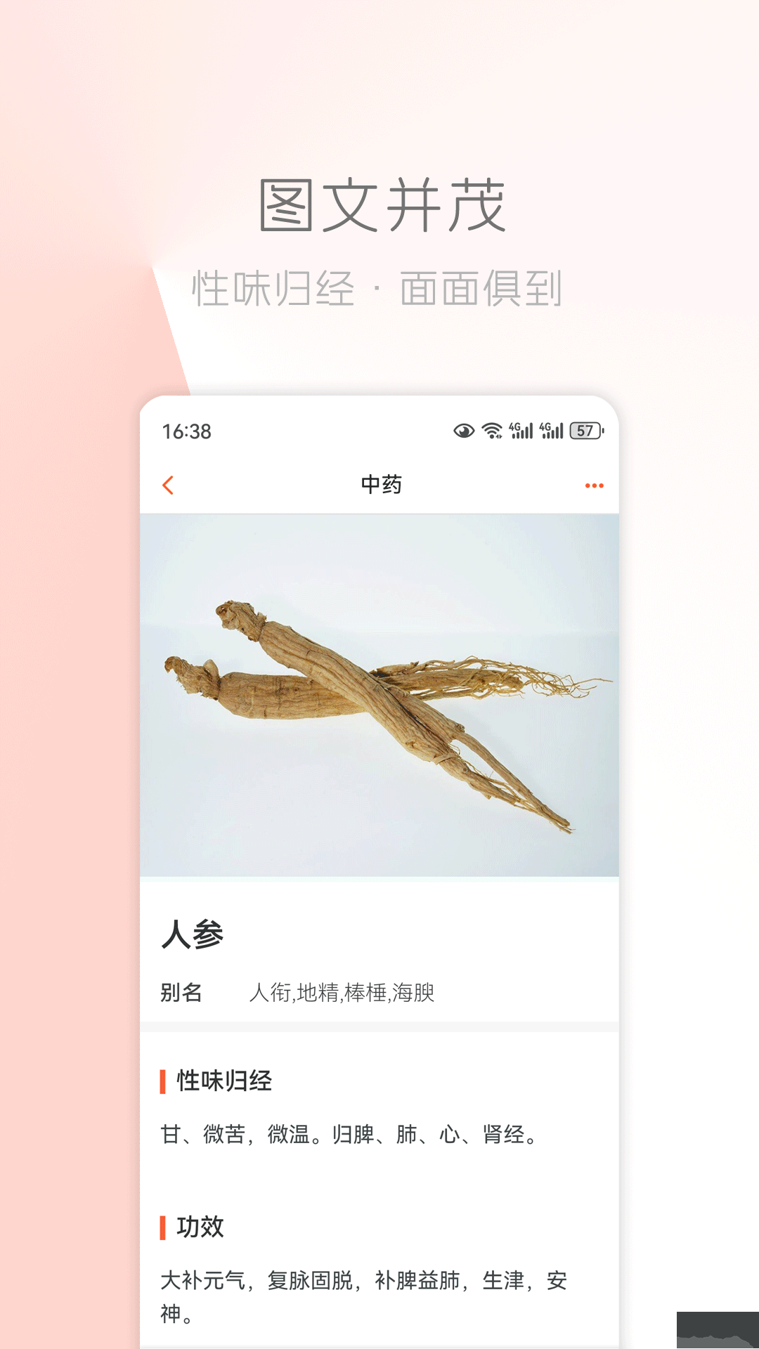 中医之家