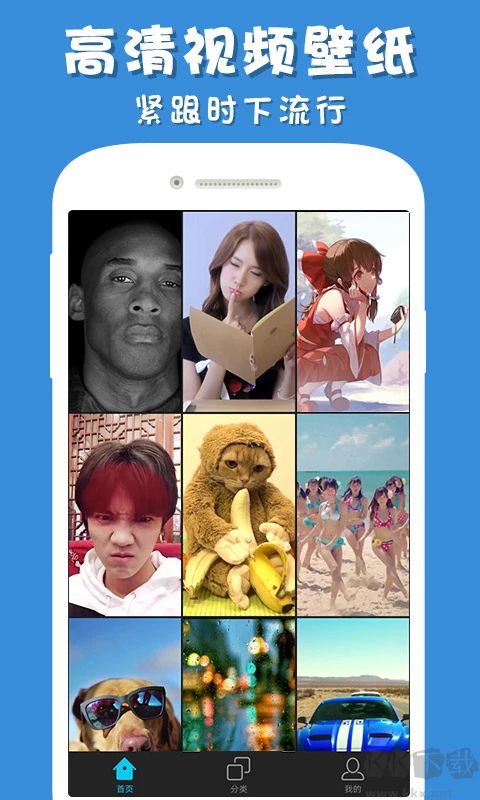 彩蛋视频壁纸app免费版