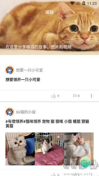 握爪