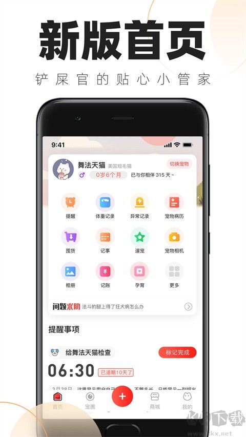 铲屎官的日常