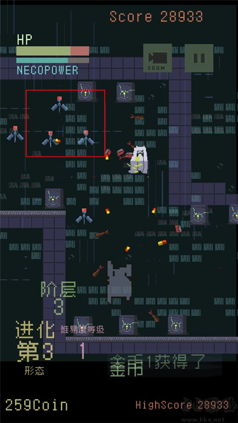 猫咪狂想曲