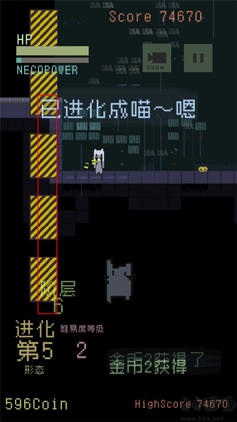 猫咪狂想曲