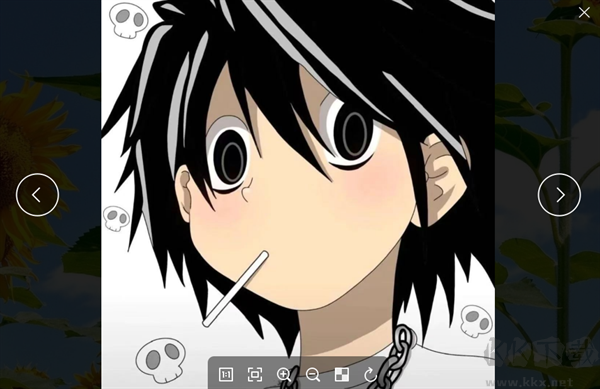 菠萝看图(Pineapple Pictures)