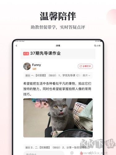 兴趣岛