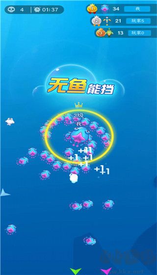 小鱼你别跑
