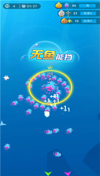 小鱼你别跑