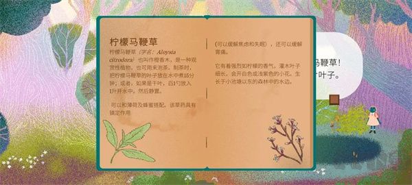 茶杯物语