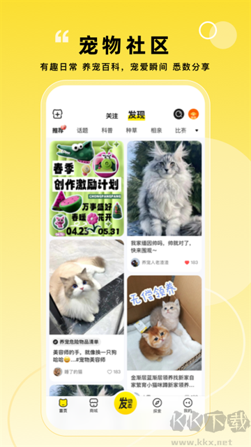 宠胖胖