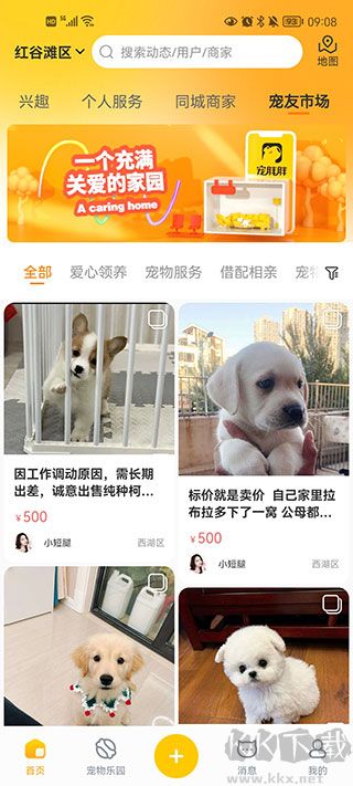 宠胖胖