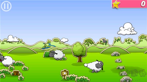 云和绵羊的故事