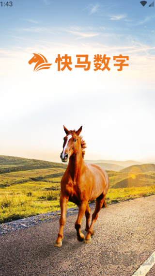 快马数字