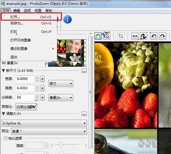 PhotoZoom Pro 8(图片无损放大)