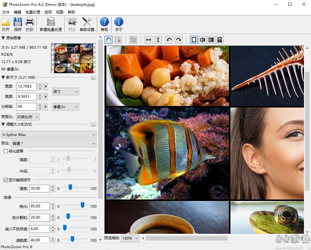 PhotoZoom Pro 8(图片无损放大)