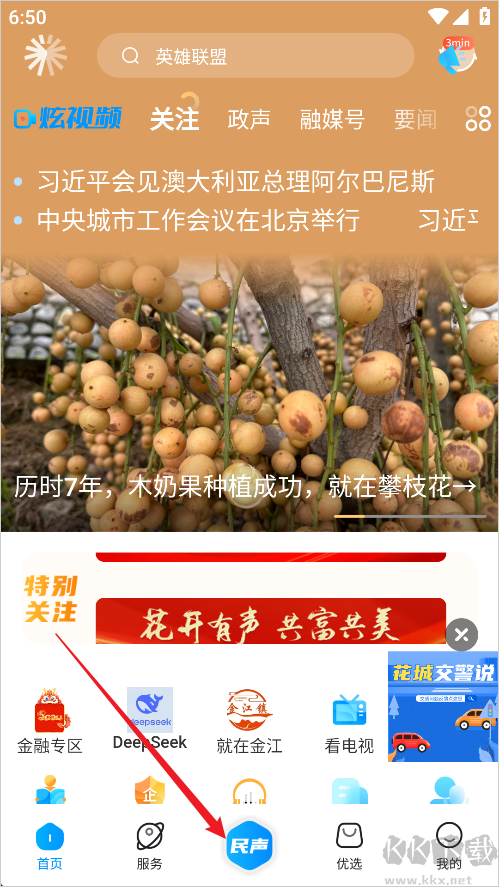 攀枝花开