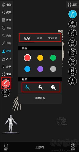 解剖大师