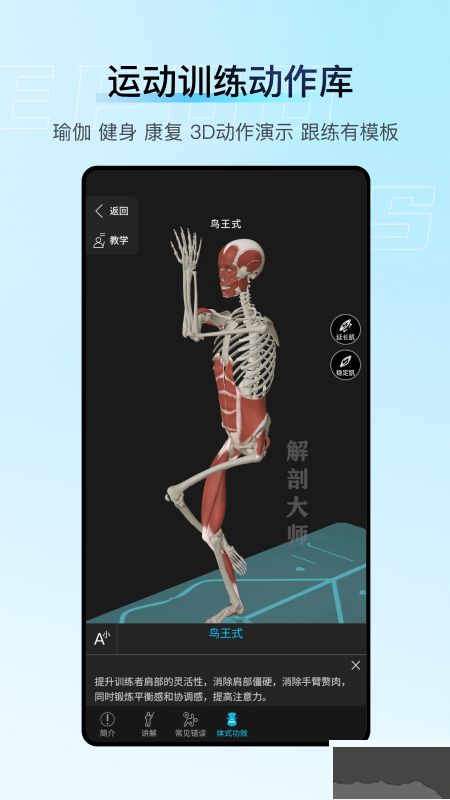 解剖大师