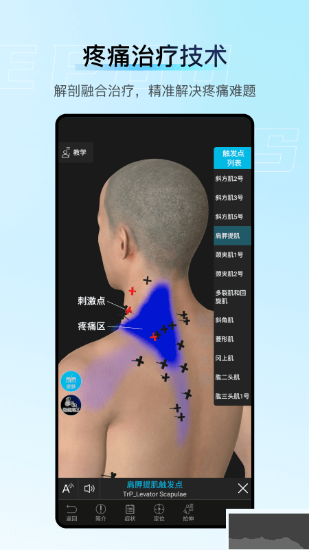 解剖大师